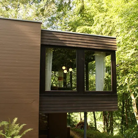 Perspektive 72 - Architektenhaus Mit Sauna Im Wald Feriehus Edertal