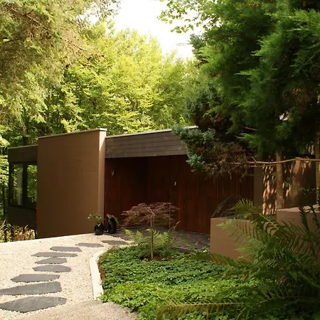 Feriehus Perspektive 72 - Architektenhaus Mit Sauna Im Wald Edertal