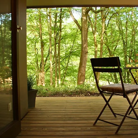 Feriehus Perspektive 72 - Architektenhaus Mit Sauna Im Wald *