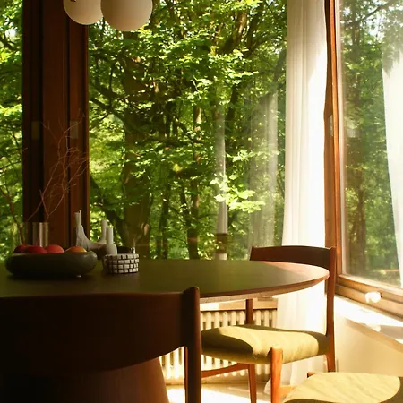Perspektive 72 - Architektenhaus Mit Sauna Im Wald Feriehus Edertal