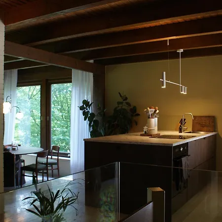 Feriehus Perspektive 72 - Architektenhaus Mit Sauna Im Wald *