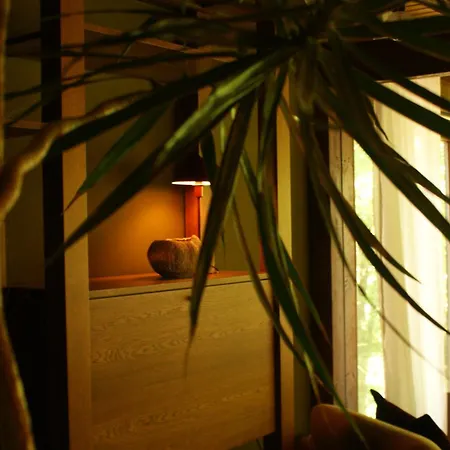 Perspektive 72 - Architektenhaus Mit Sauna Im Wald Edertal