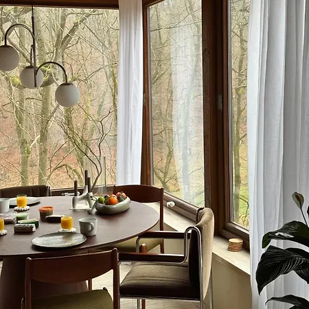 Vakantiehuis Perspektive 72 - Architektenhaus Mit Sauna Im Wald