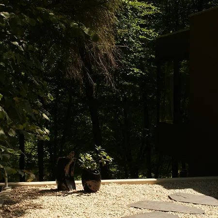 Vakantiehuis Perspektive 72 - Architektenhaus Mit Sauna Im Wald Edertal